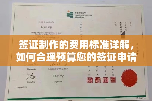 平阴签证制作的费用标准详解，如何合理预算您的签证申请成本